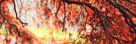 电话轰炸业务网