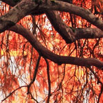 免费短信云呼轰炸机