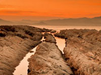 一键日志分析的电话呼叫轰炸app