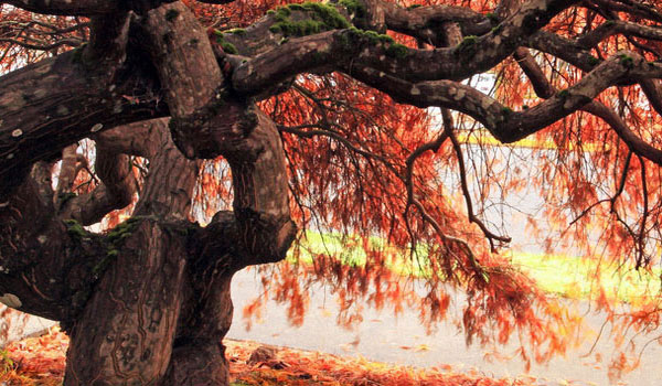 全天发货的追呼系统